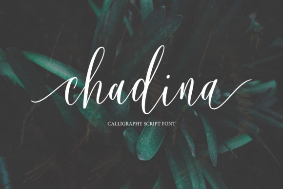 Chadina Script: A Marketer’s Secret Weapon for Visual Impact
