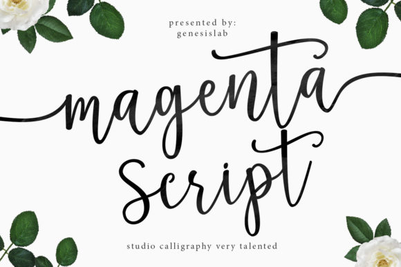 Magenta Script: A Feminine Font for Modern Branding