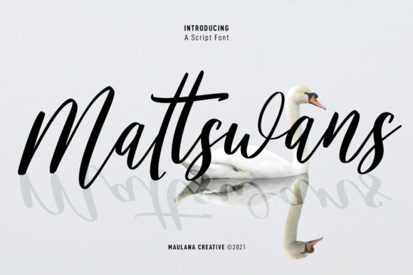 Mattswans Script: A Flowing Font for Digital Branding
