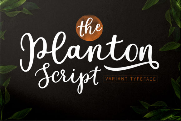 Planton Script: A Versatile Typeface for Editorial Design
