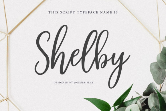 Shelby Script for Editorial Design and Creative Projects