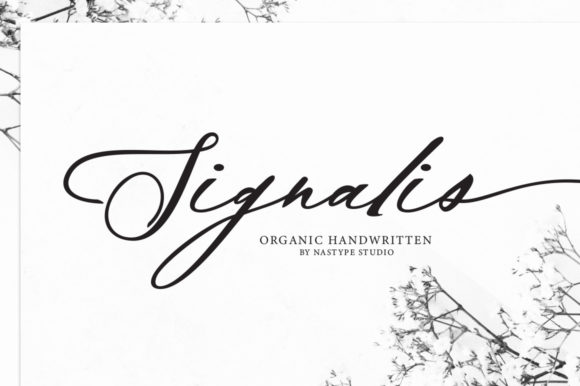 Signalis Script: A Modern Typeface for Web Design